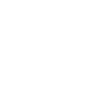Icono Evaluación