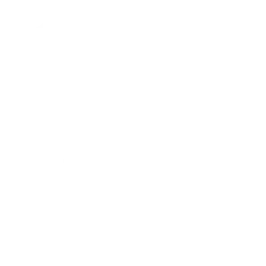 Icono Informe de gestión